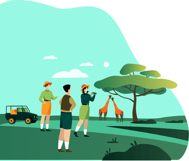 safari